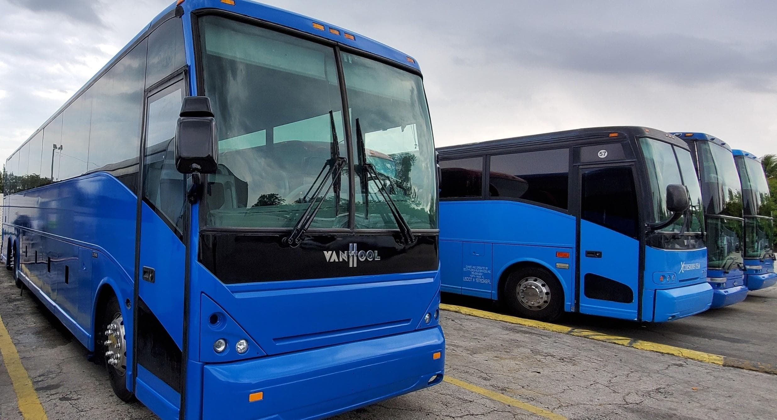 Private Everglades Bus Tours from Miami for Custom Adventures