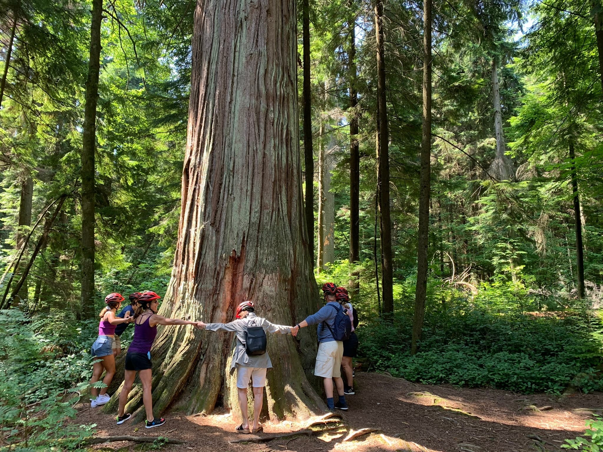 Explore Stanley Park: Vancouver’s Premier Bike & Food Tour