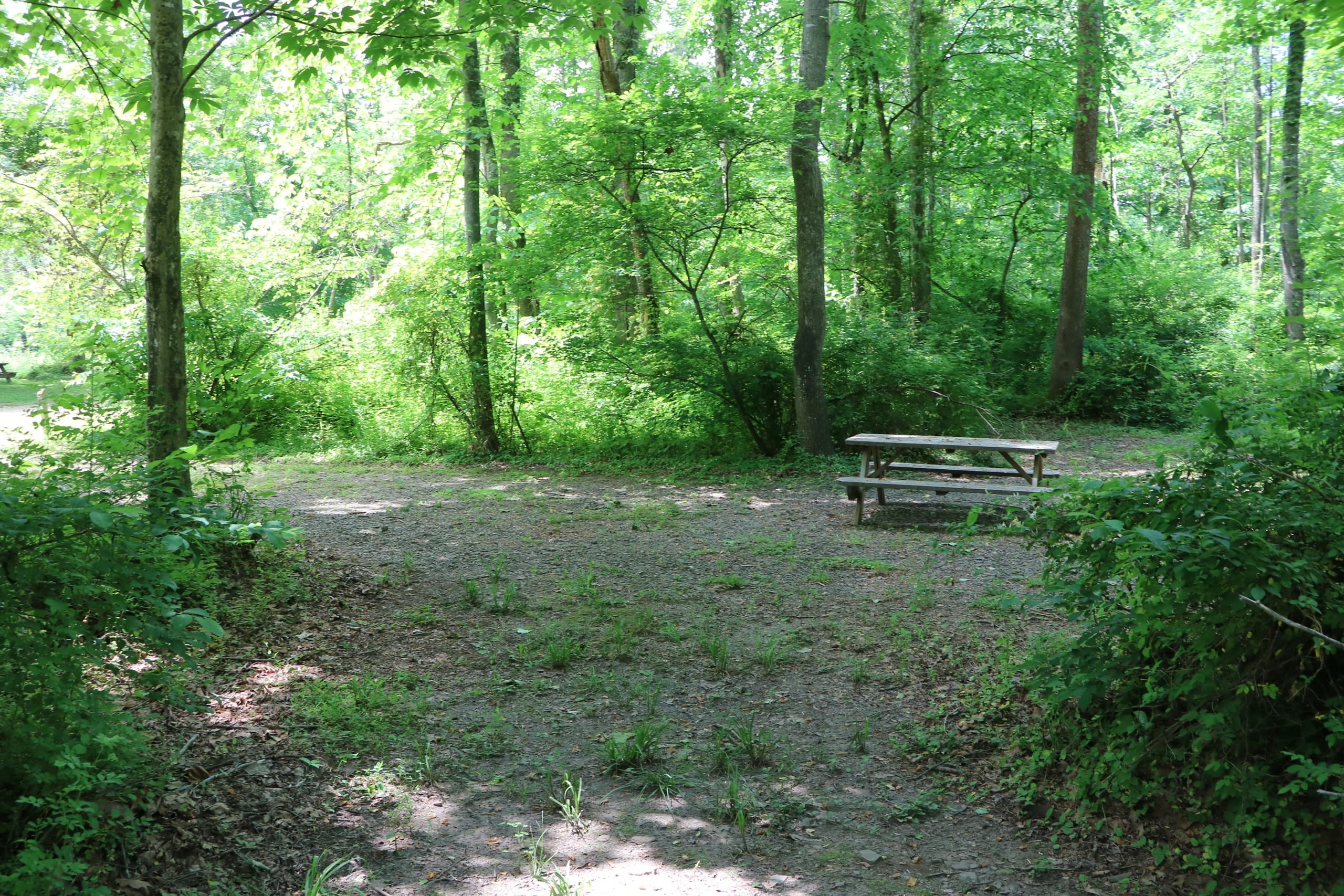 Experience Tranquil Riverfront Camping at Gala Site #15 in Eagle Rock, Virginia