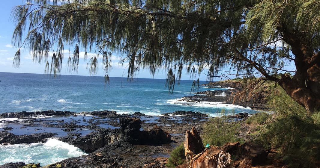 Rocky shoreline with ocean surf and coastal trees on Kauai coast