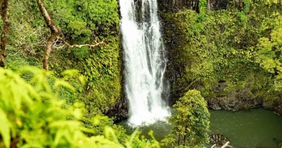 Discover Maui’s Private Road to Hana Tour: Waterfalls, Black Sand Beaches & Cultural Encounters