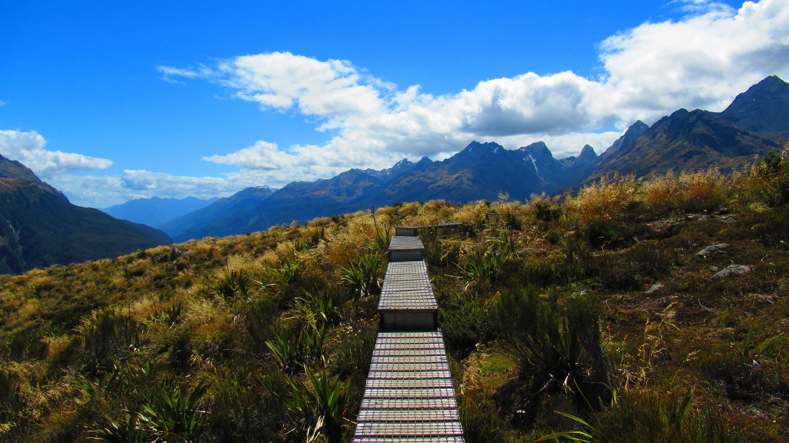 Key Summit Scenic Walk: Guided Alpine Tarn Hike with Fiordland Mountain Views
