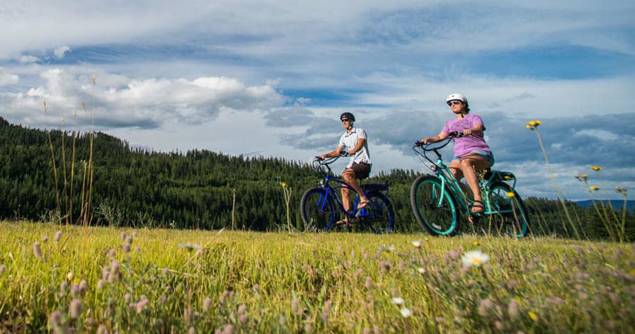 Cyclists riding electric bikes across grassy Prince Edward County