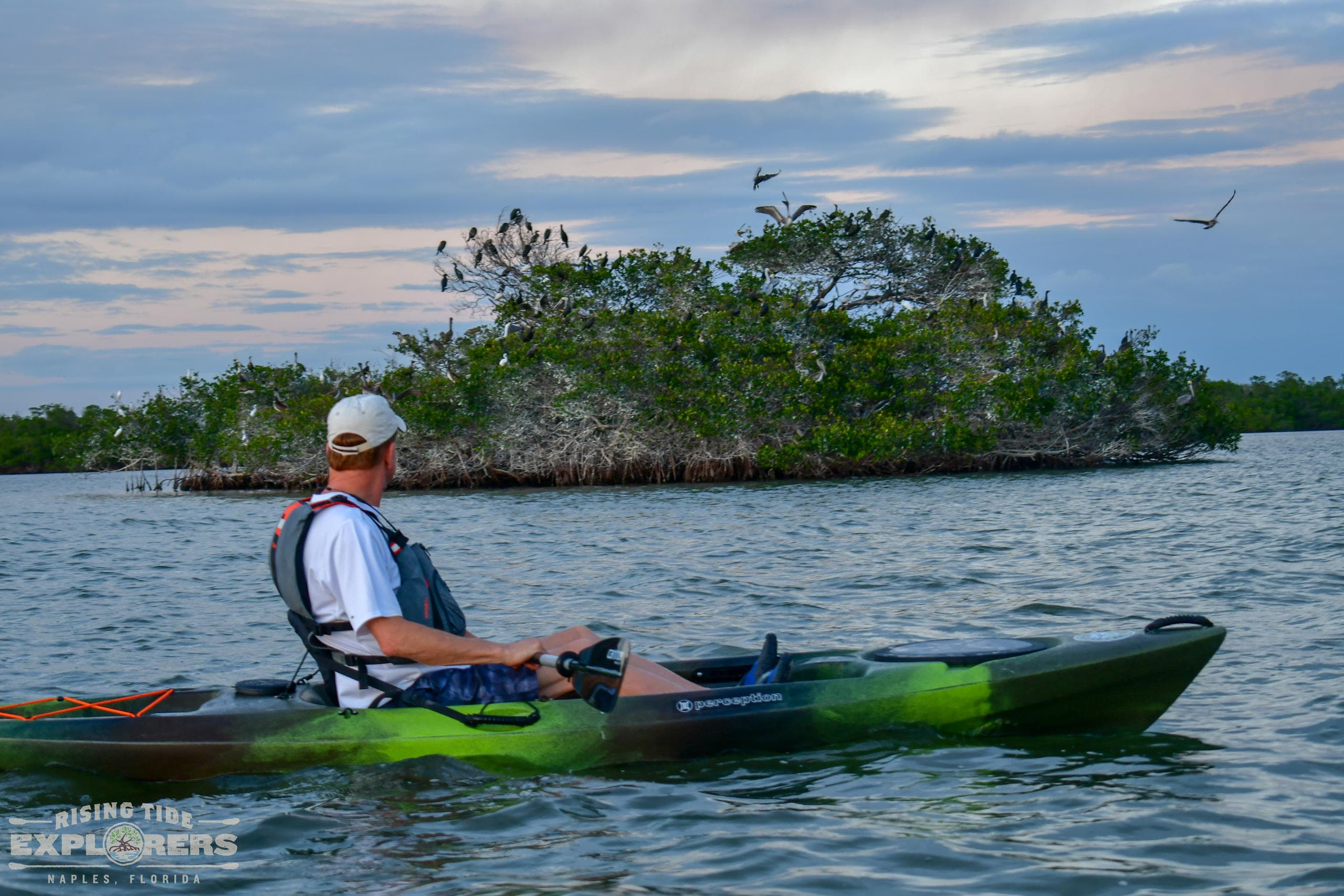 Solo kayaker paddling near small mangrove island in bay