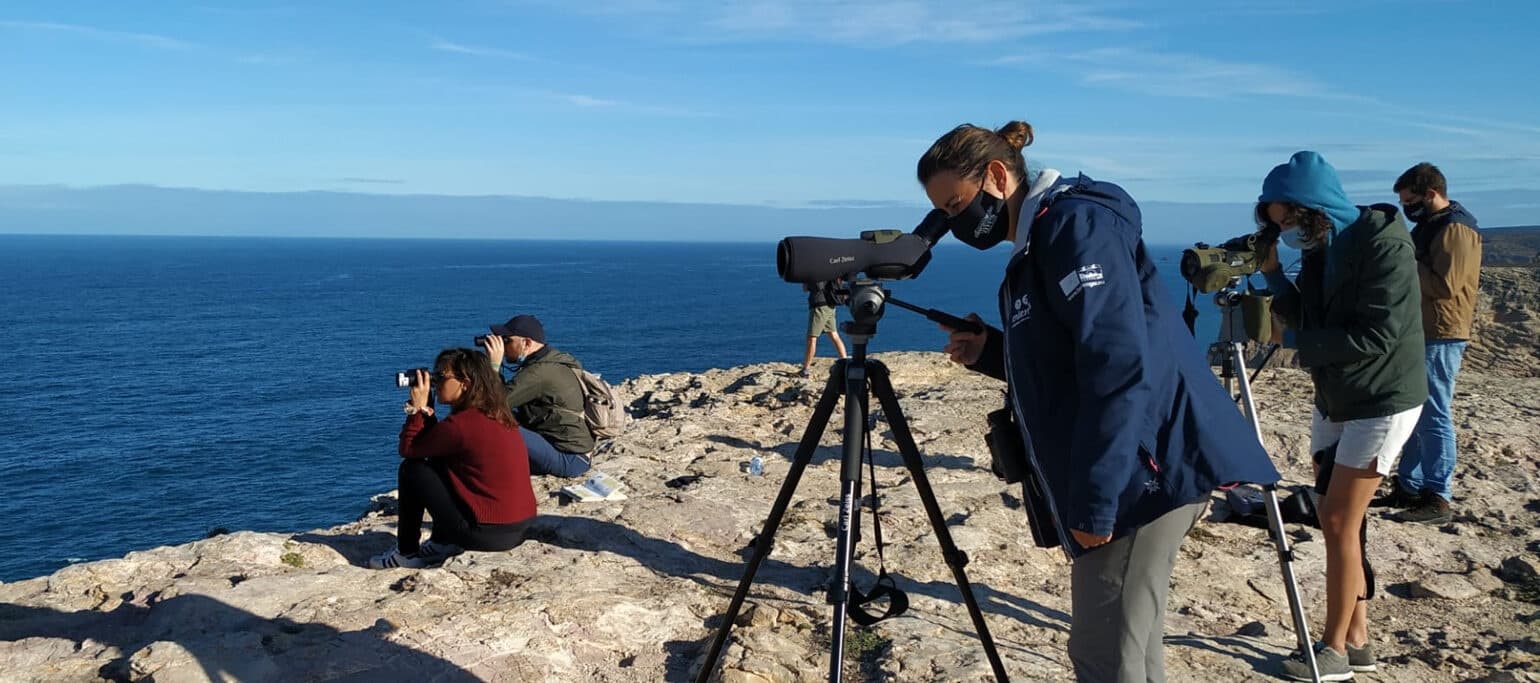 Birdwatchers with spotting scopes on cliff overlooking ocean