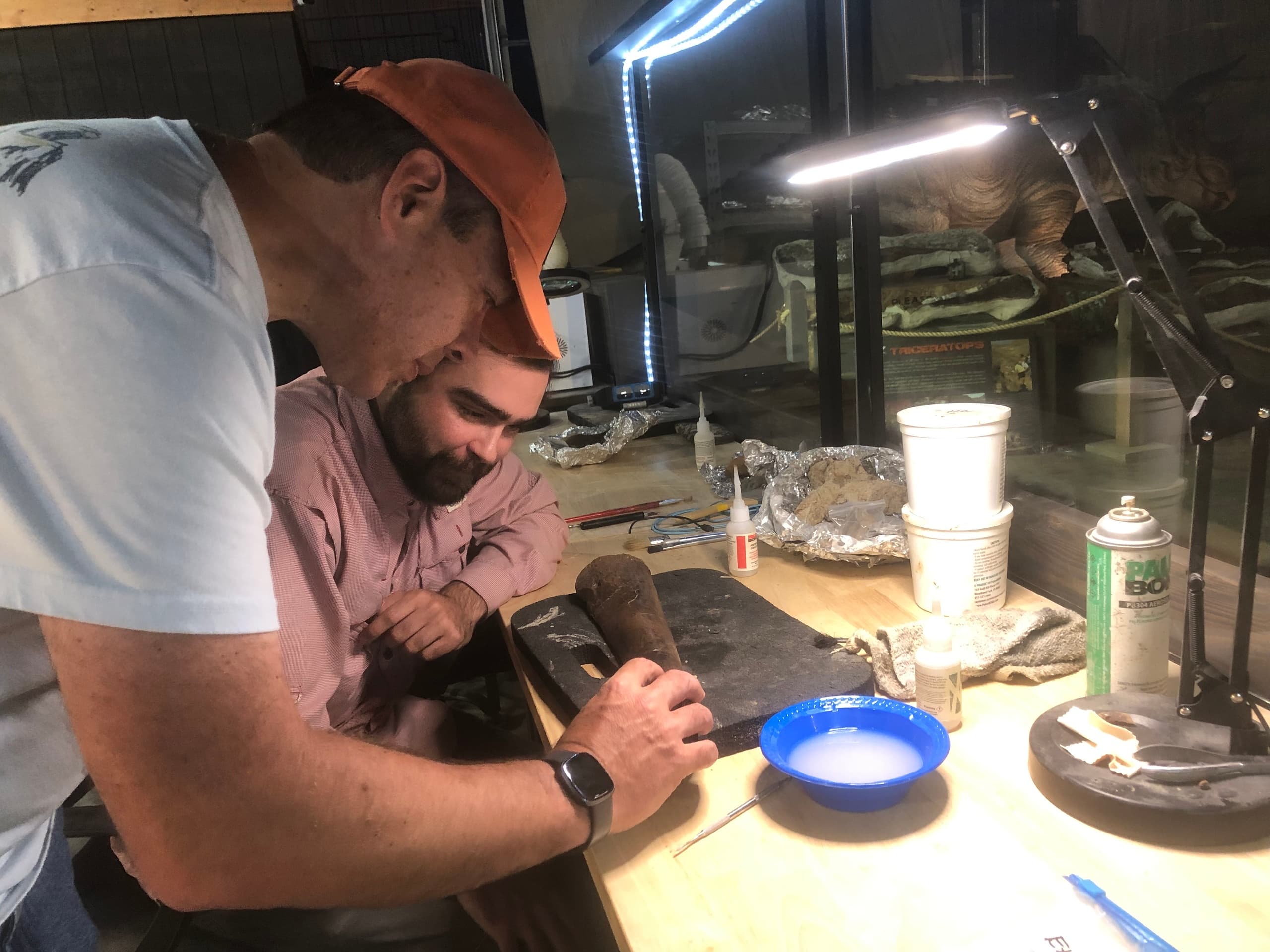 Hands-On Fossil Dig and Lab Seminar in Hell Creek Badlands