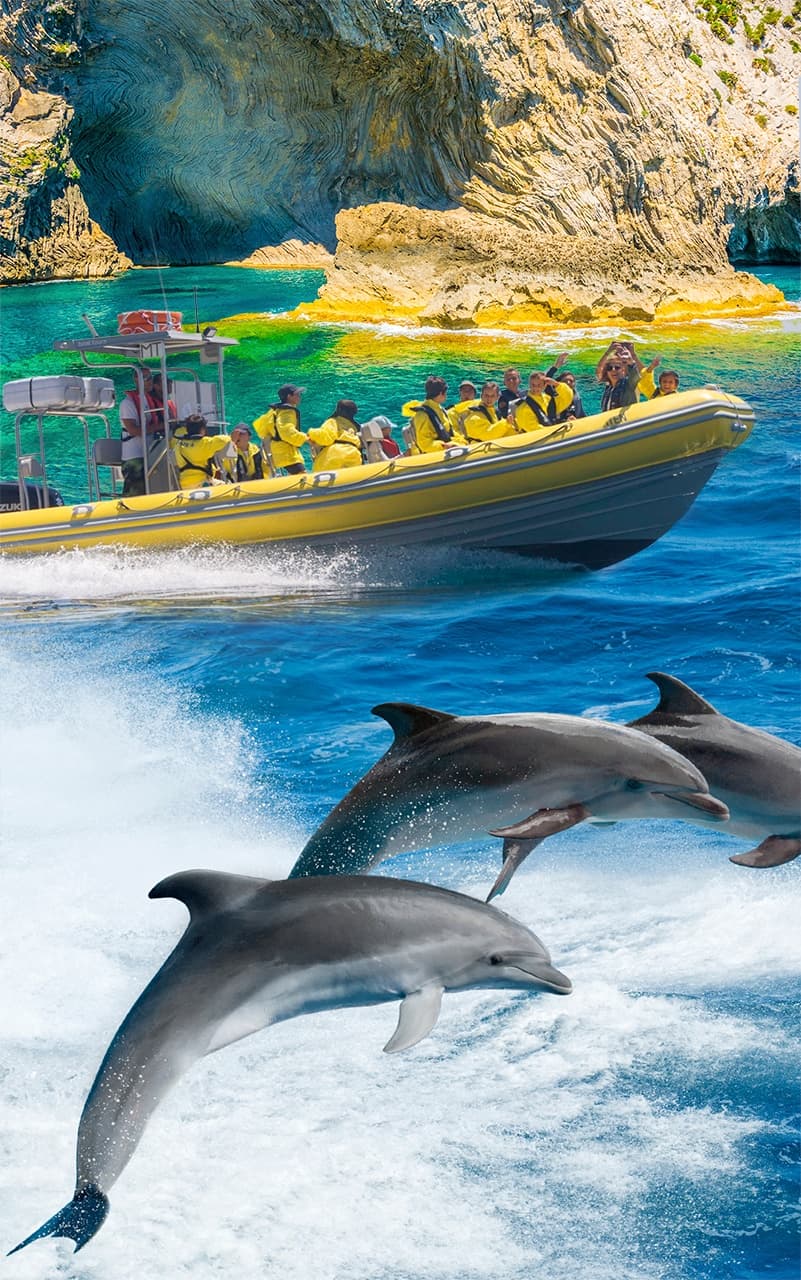 Dolphin-Watching Adventure with North Coast Adventure in Mallorca