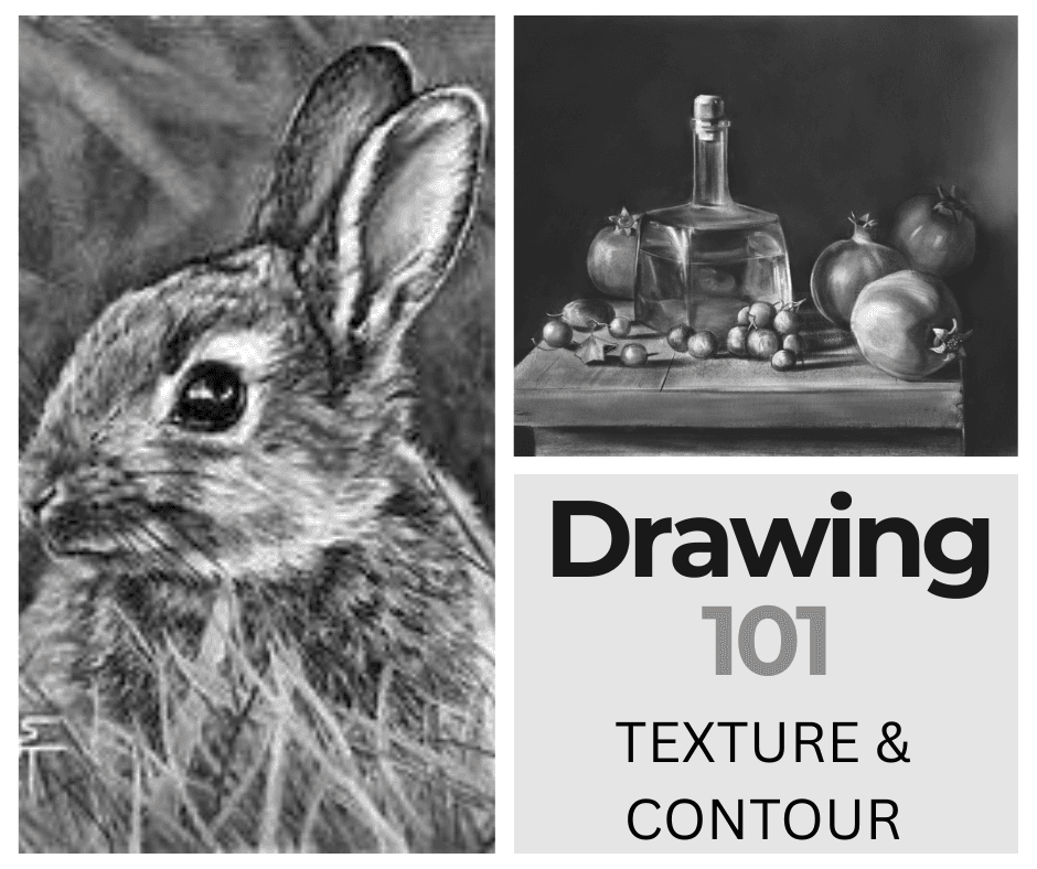 Drawing 101 in Port Royal: Master Texture & Contour with Susan Stone