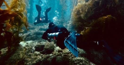 Why Learn Sidemount Diving in Avalon: 2-Day PADI Specialty on Catalina Island