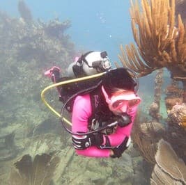 Discover Scuba Diving in Fort Walton Beach — Beginner Open-Water Dive Experience
