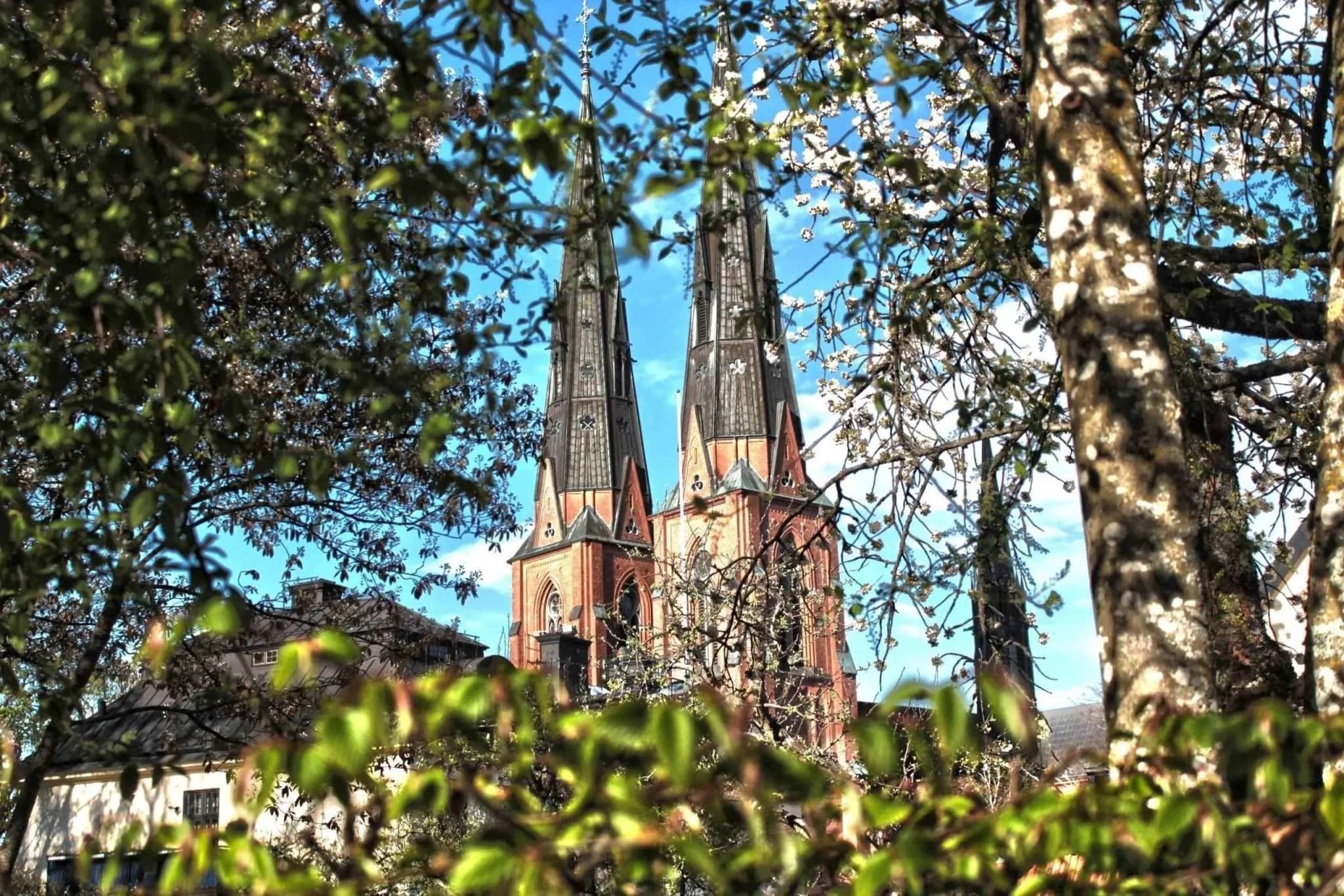 Land Adventures in Uppsala with Stockholmania Tours