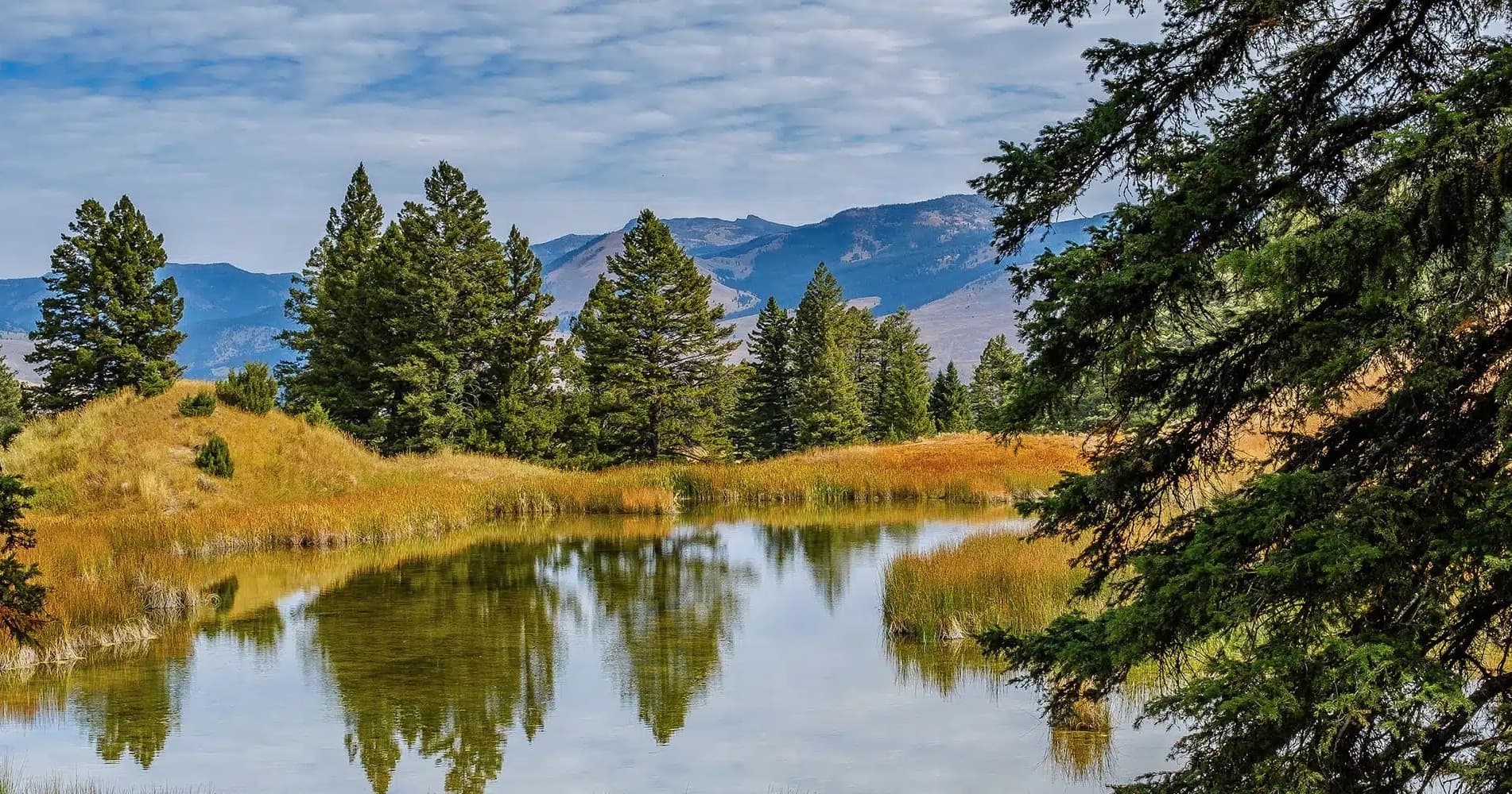 Yellowstone Small-Group Tour with Good Trip Adventures in Montana