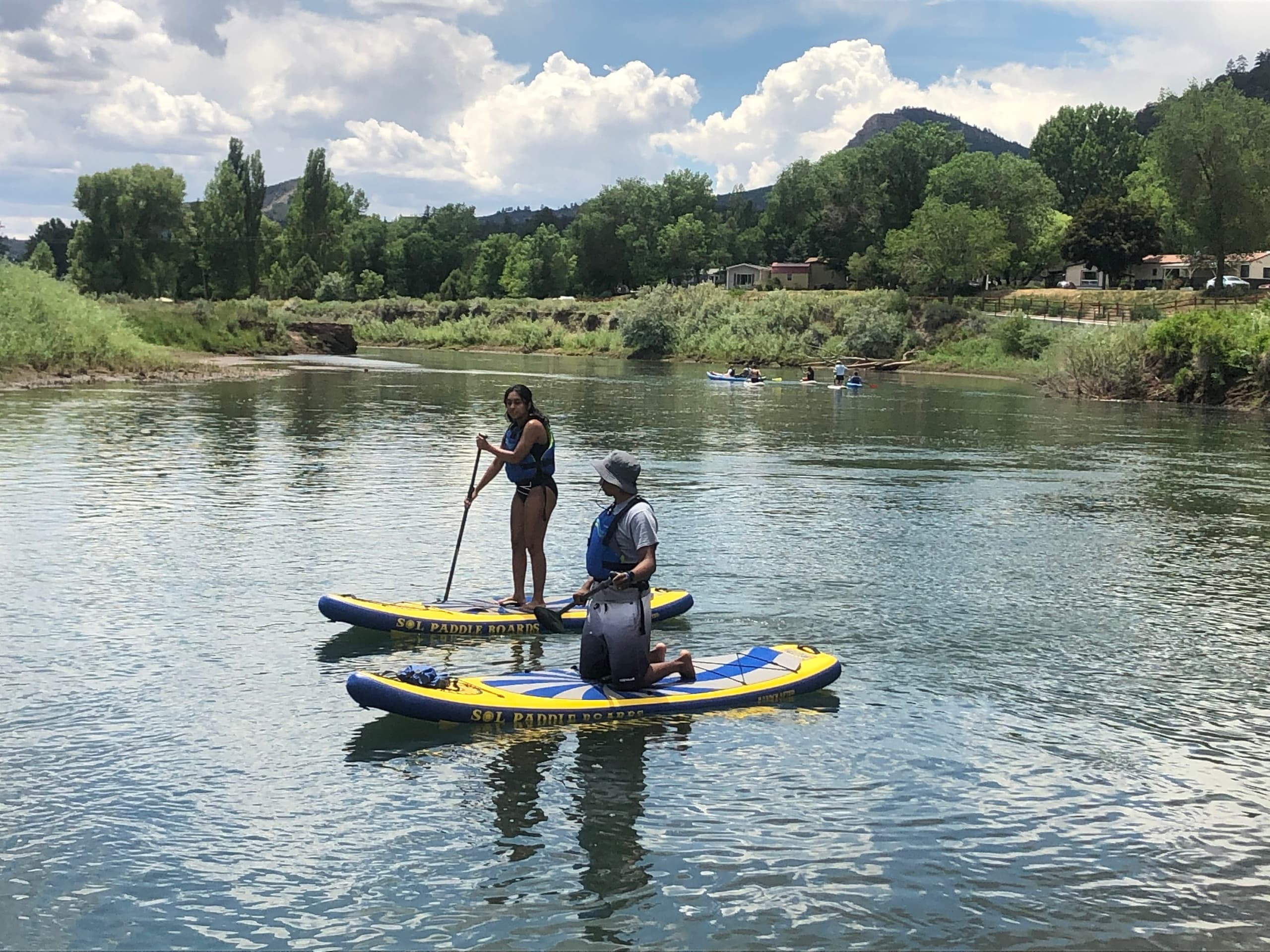 Two paddleboarders touring calm river with riverside trees