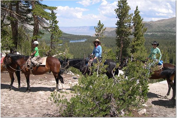 Horseback Trail Ride in Rock Creek Canyon, Bishop CA