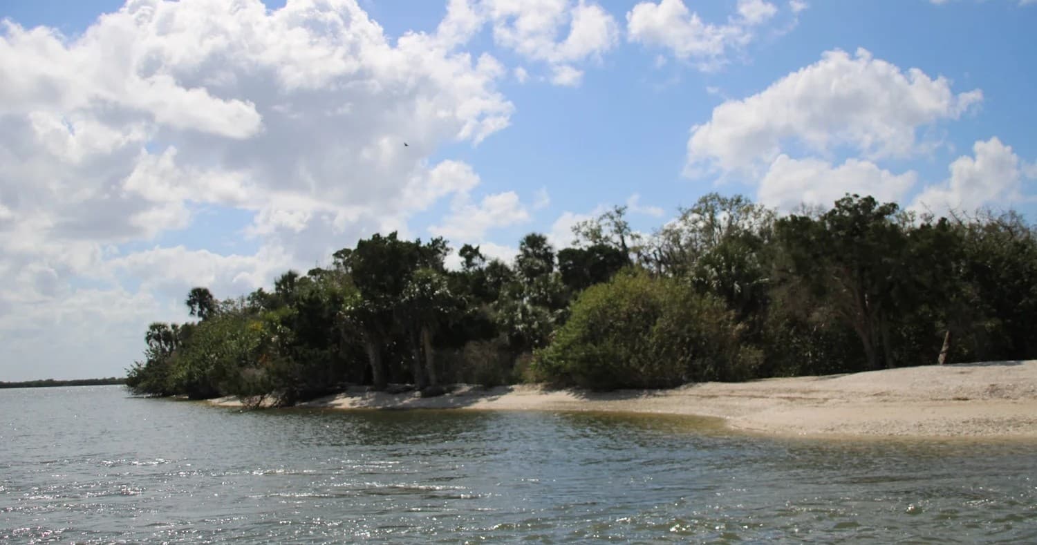 Island Adventure: Sandbars, Wildlife & Crystal River Boat Cruise
