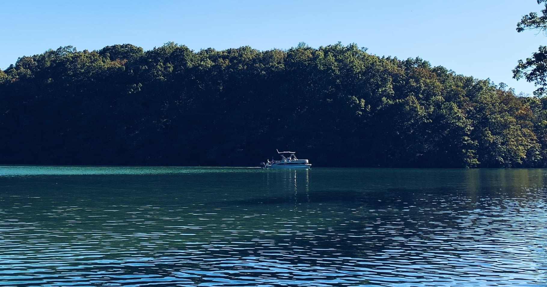 Nashvegas Voyages fleet