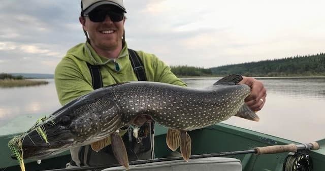 Trophy Pike Fishing Adventure in Fairbanks, Alaska