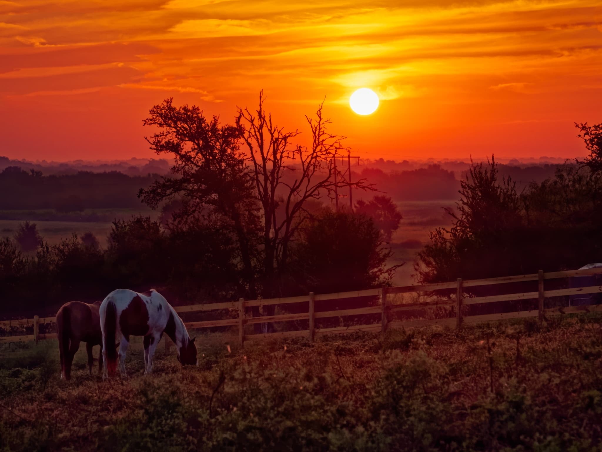 Lockhart Sunset Trail Horseback Ride in Austin, TX