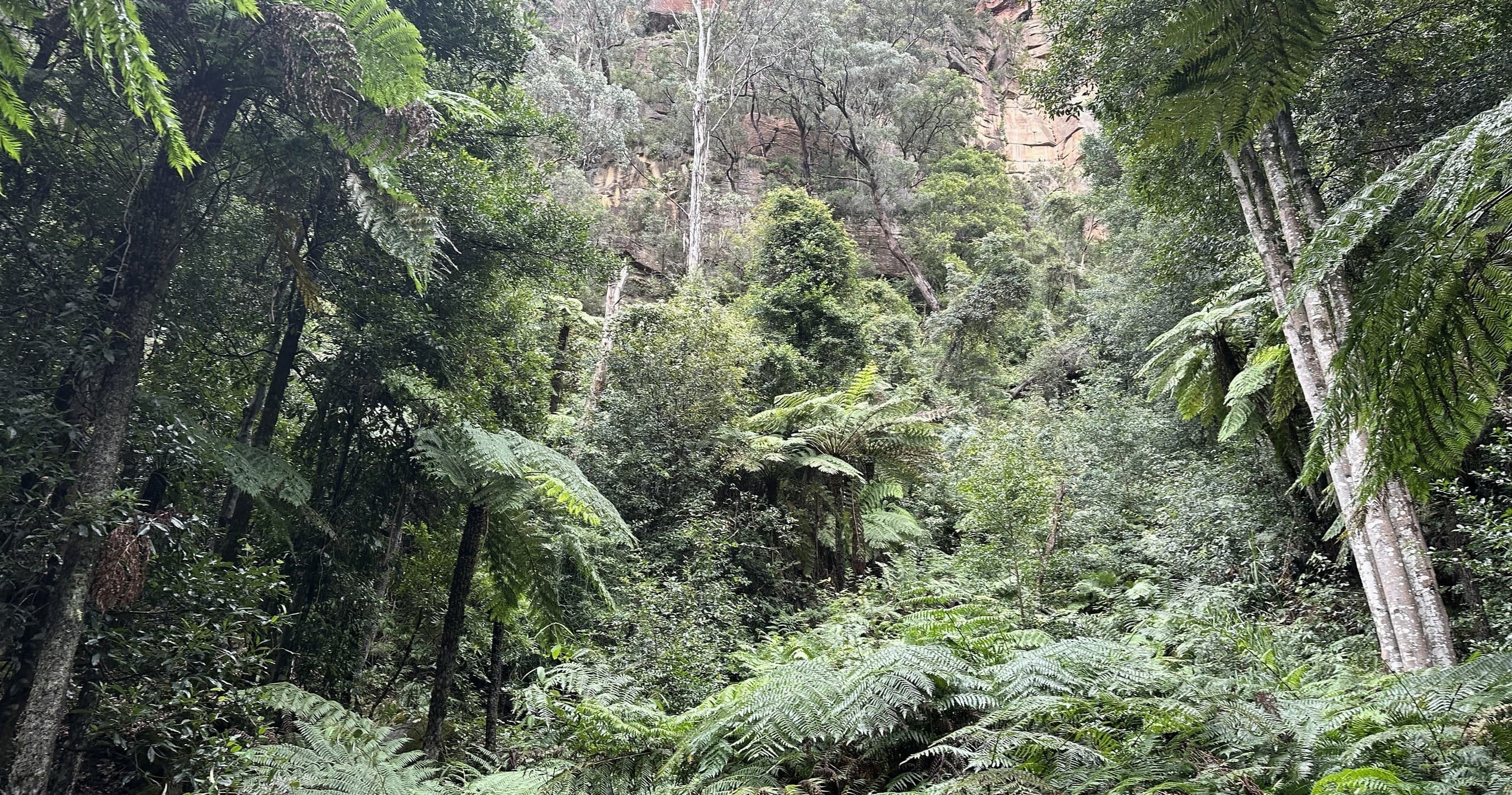 Outdoor Adventure at Blue Mountains & Sydney Zoo with Scenic World