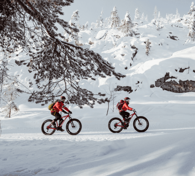 Fatbike riders pedaling across snowy forest trail in Lapland
