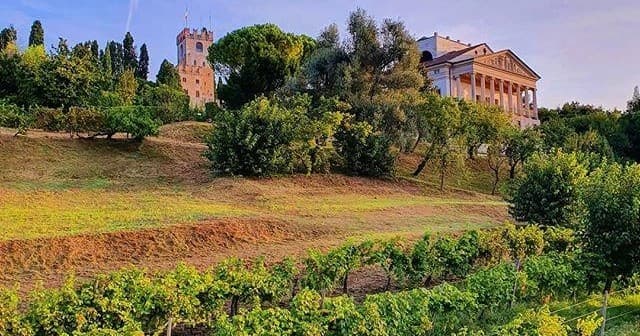 Tuscan hillside vineyard with estate, panoramic wine country view