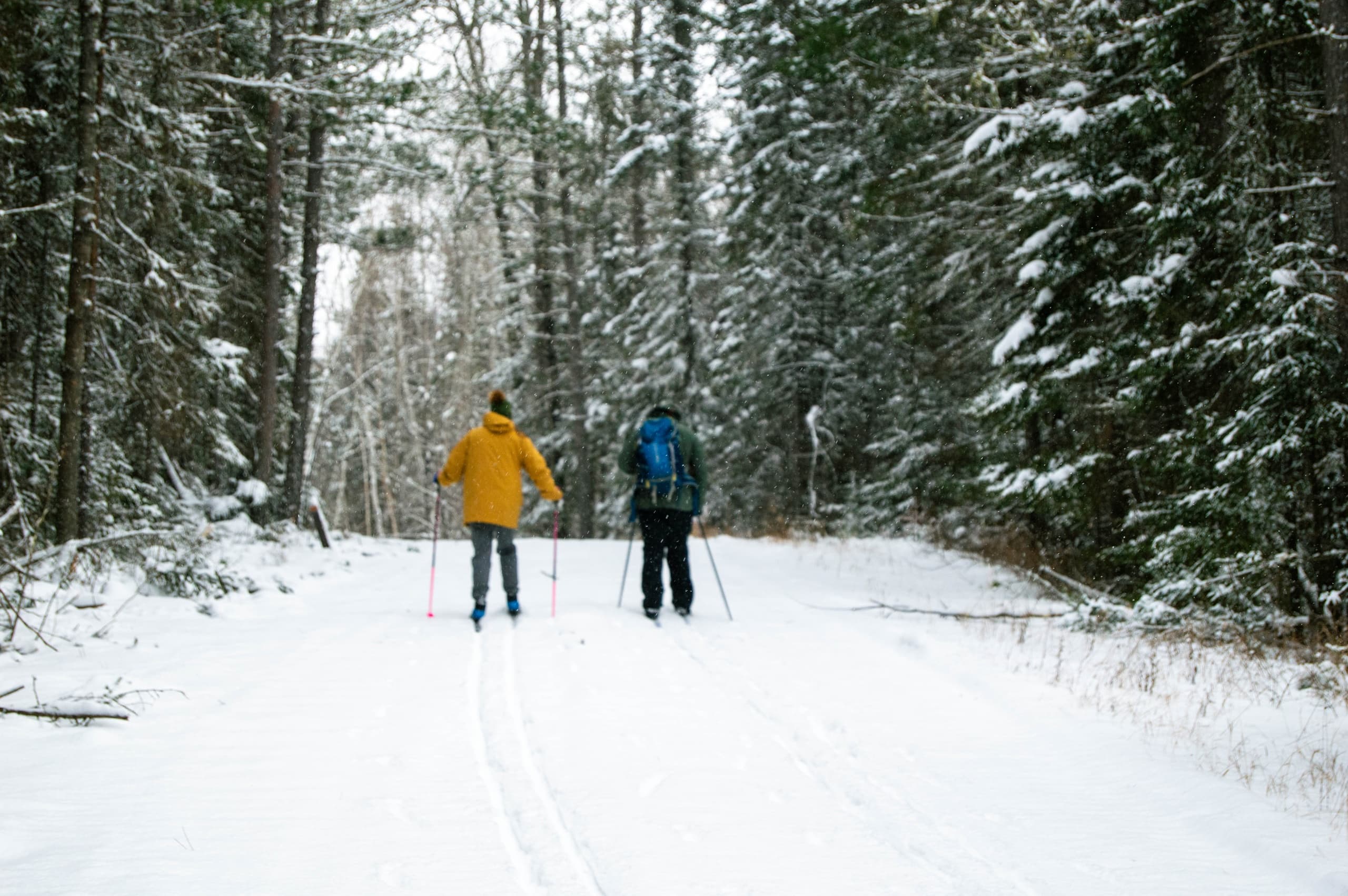 Three-Day Nordic Ski Pass near Fort Frances — 30km Groomed Trails & Beaver Lake BBQ