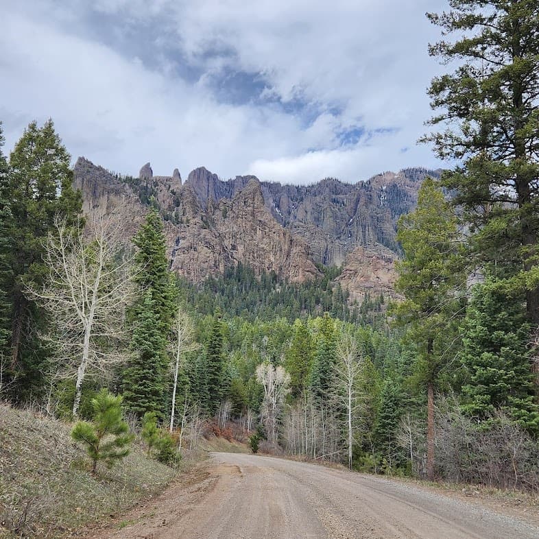 Drive the Maverick X3 Max: Full-Day Side-By-Side Rental in Pagosa Springs photo 3