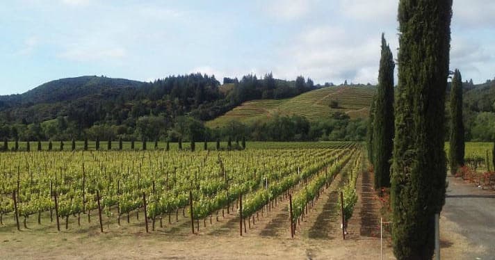 Land Adventures with California Transportation Services in Wine Country