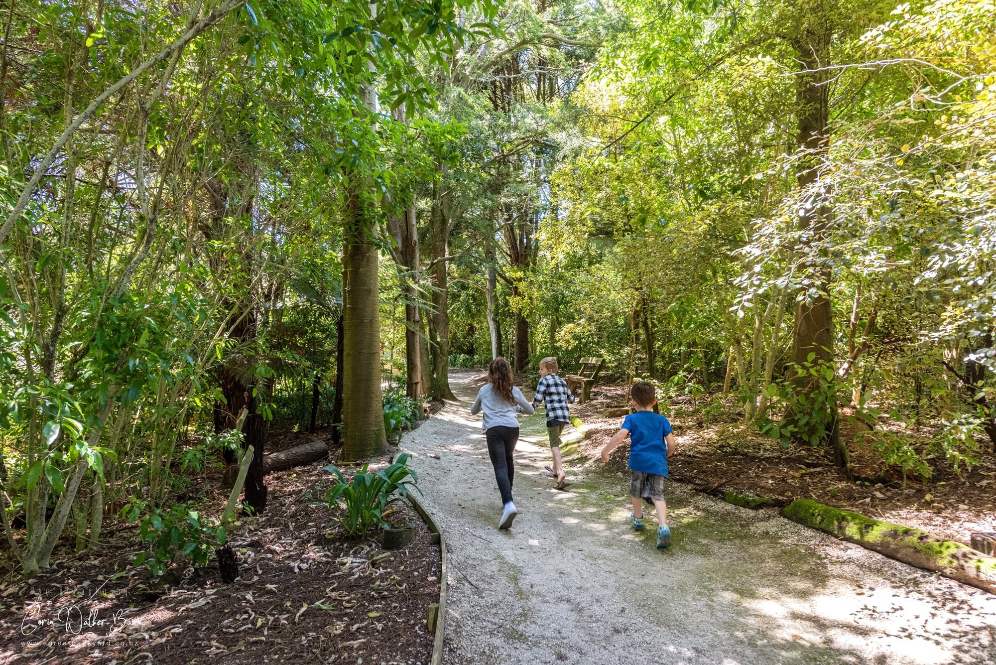 Children running on wide forest path during outdoor nature play