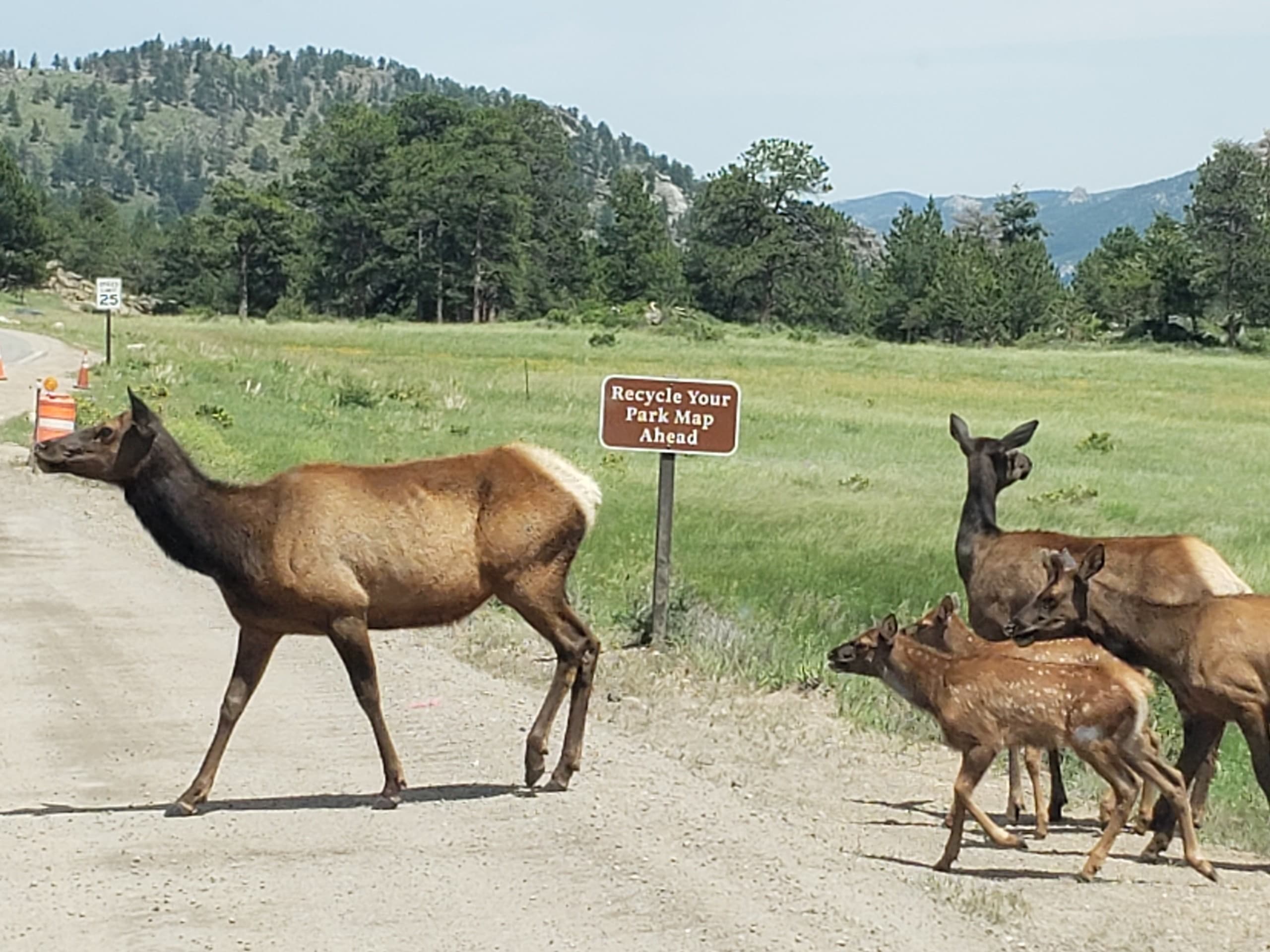 Private Full Day Hike in Rocky Mountain National Park