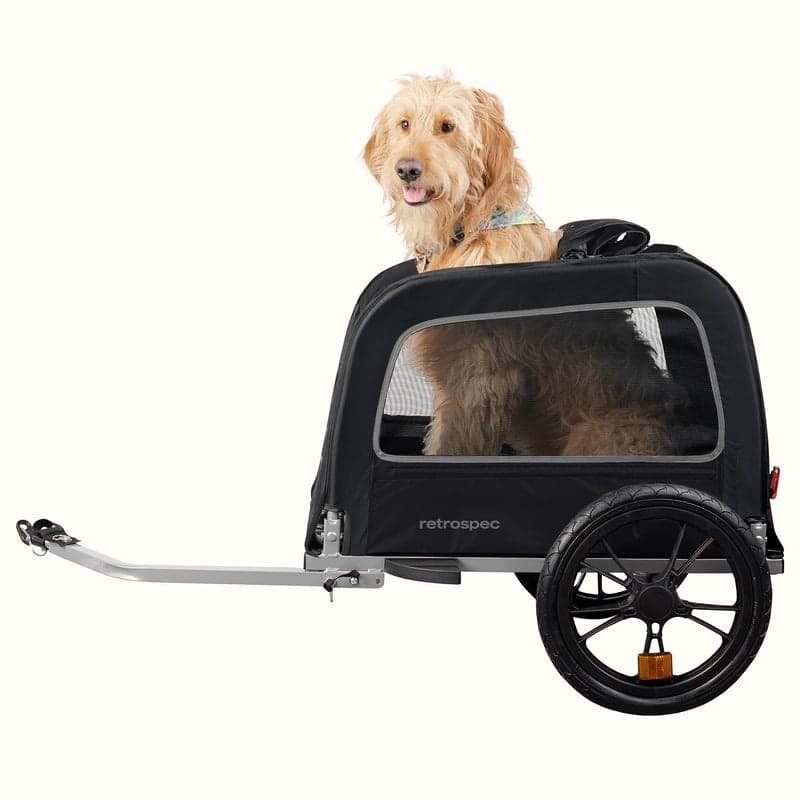Dog Bike Trailer Rides with RIBB - Santa Monica