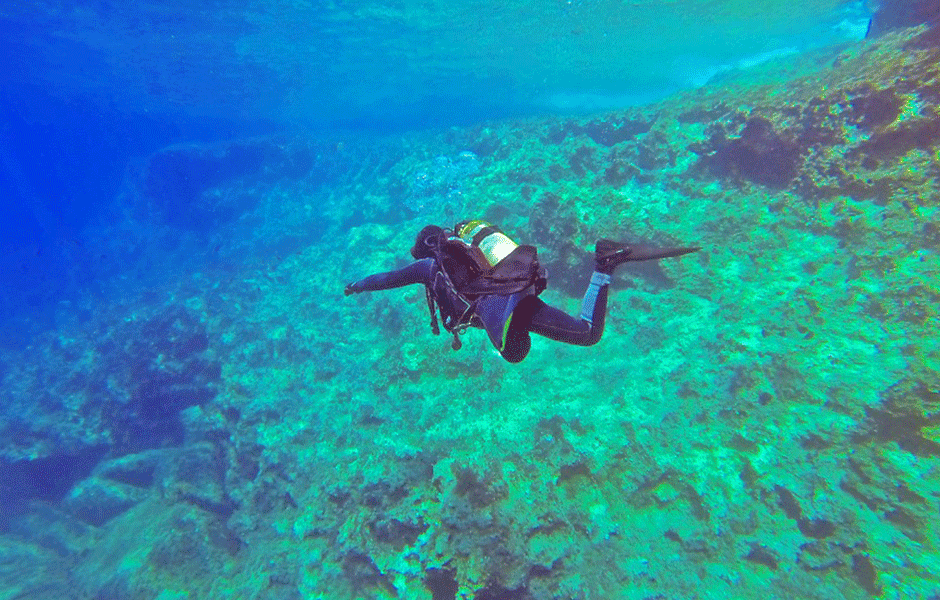 Scuba diver exploring vibrant coral reef in tropical blue water