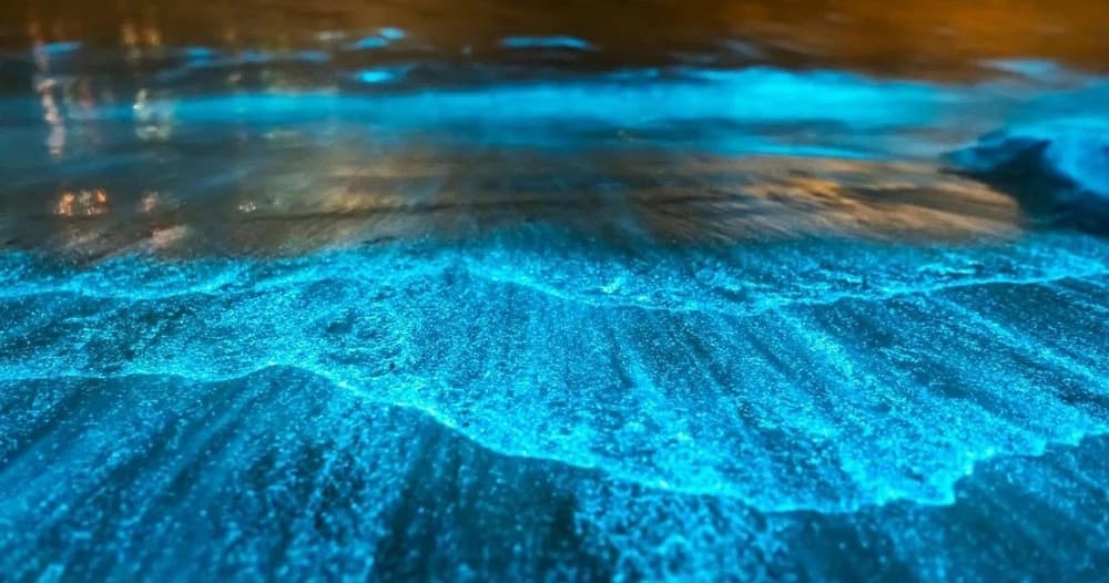 Close-up bioluminescent beach waves under night sky, vertical