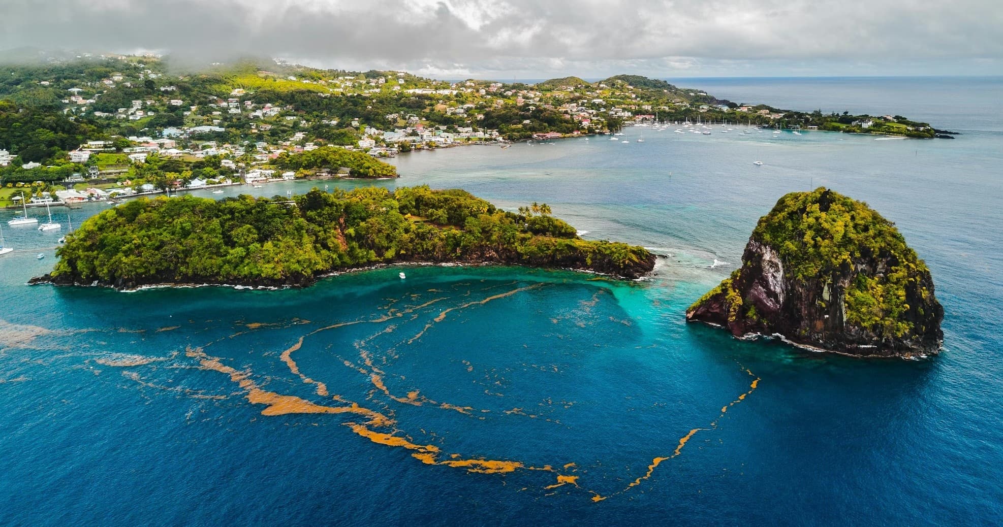 Epic Island Excursions team