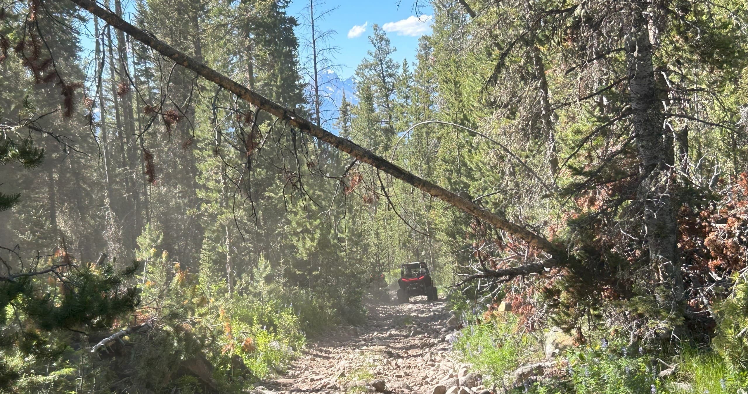 Curtis Canyon UTV and Snake River Rafting Combo in Jackson Hole photo 2