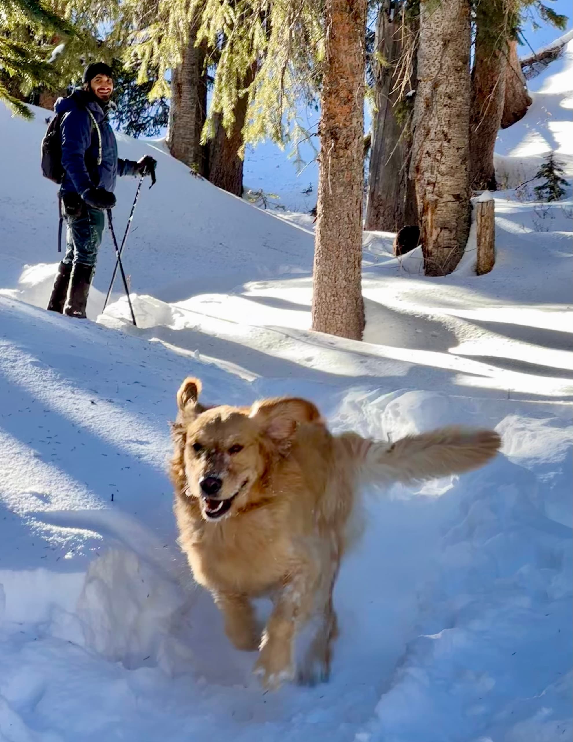 Guided Snowshoe Tours in the San Juan Mountains: Private, Custom Routes from Durango photo 3