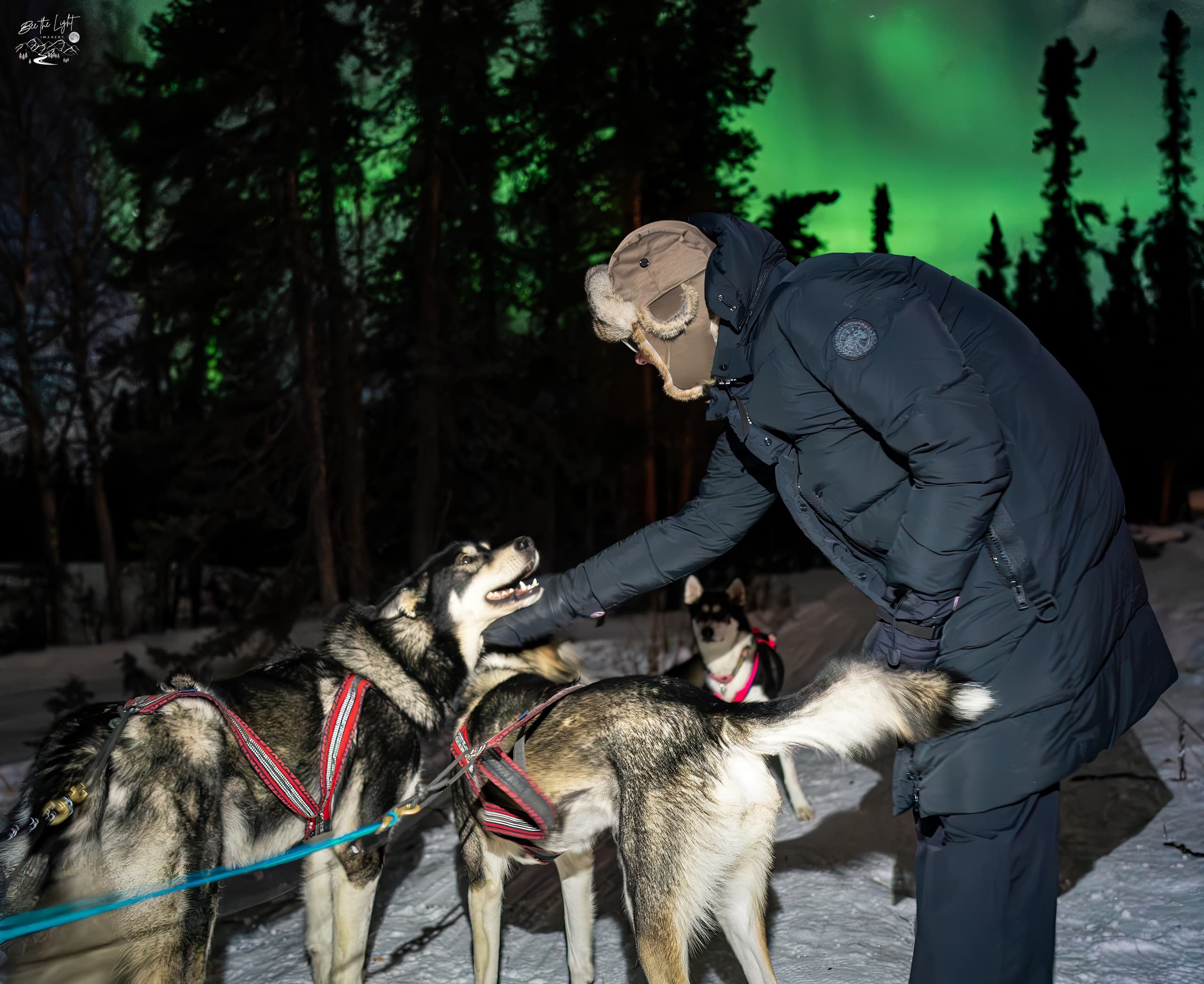 Aurora Tour at Sluice Box Sled Dogs: Northern Lights, Sled Dogs & Arctic Oven Experience near Fairbanks
