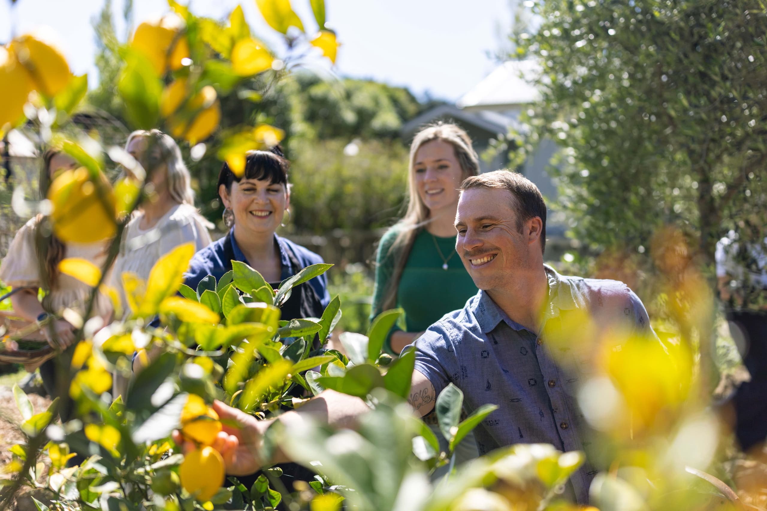 Private Cooking Classes at Hapuku Kitchen, Canterbury NZ