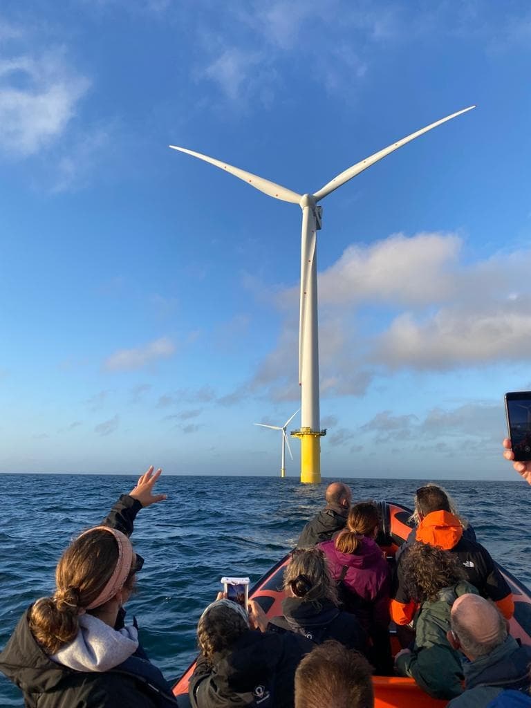 Marine Wildlife & Windfarm Adventure with Sussex Dolphin Project