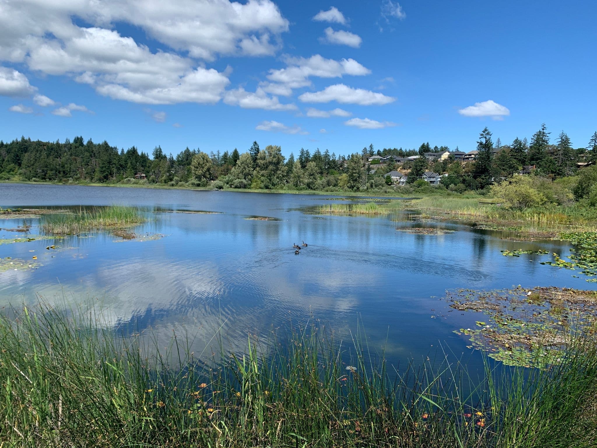 Florence Lake Paddle Board Rental in Victoria, CA