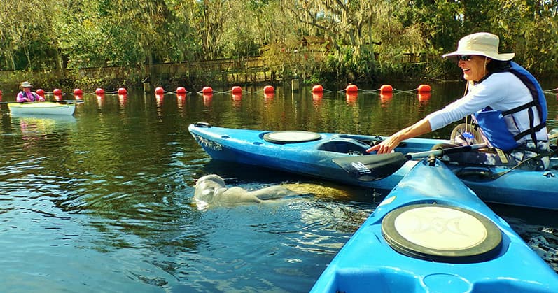 Solo kayaker reaching toward manatee in clear Florida spring