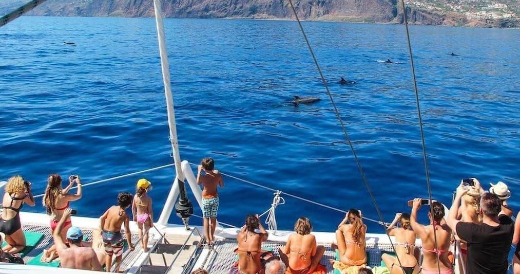 Wildlife Catamaran Tours with Madeira Adventure Kingdom