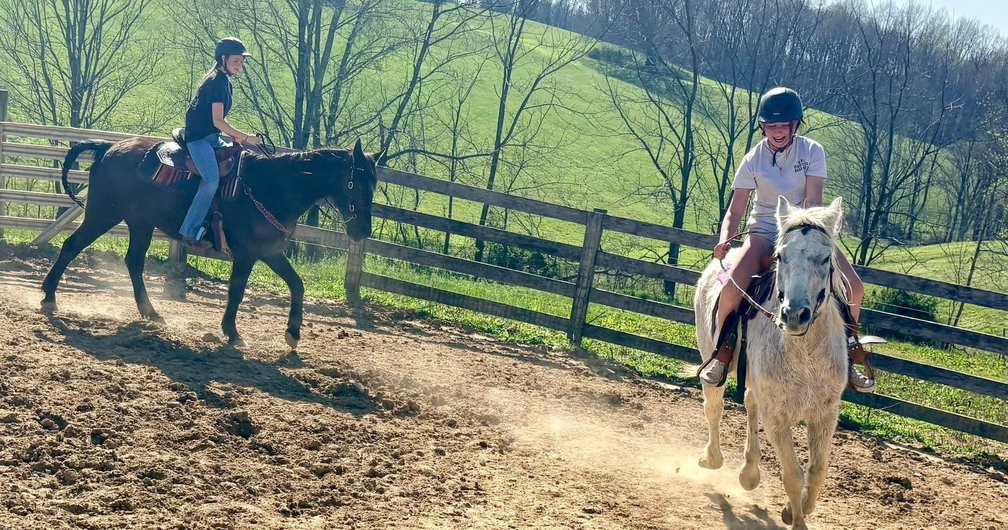 West Kentucky Horsemanship: One-Hour Semi-Private Western Riding Lessons in Park City