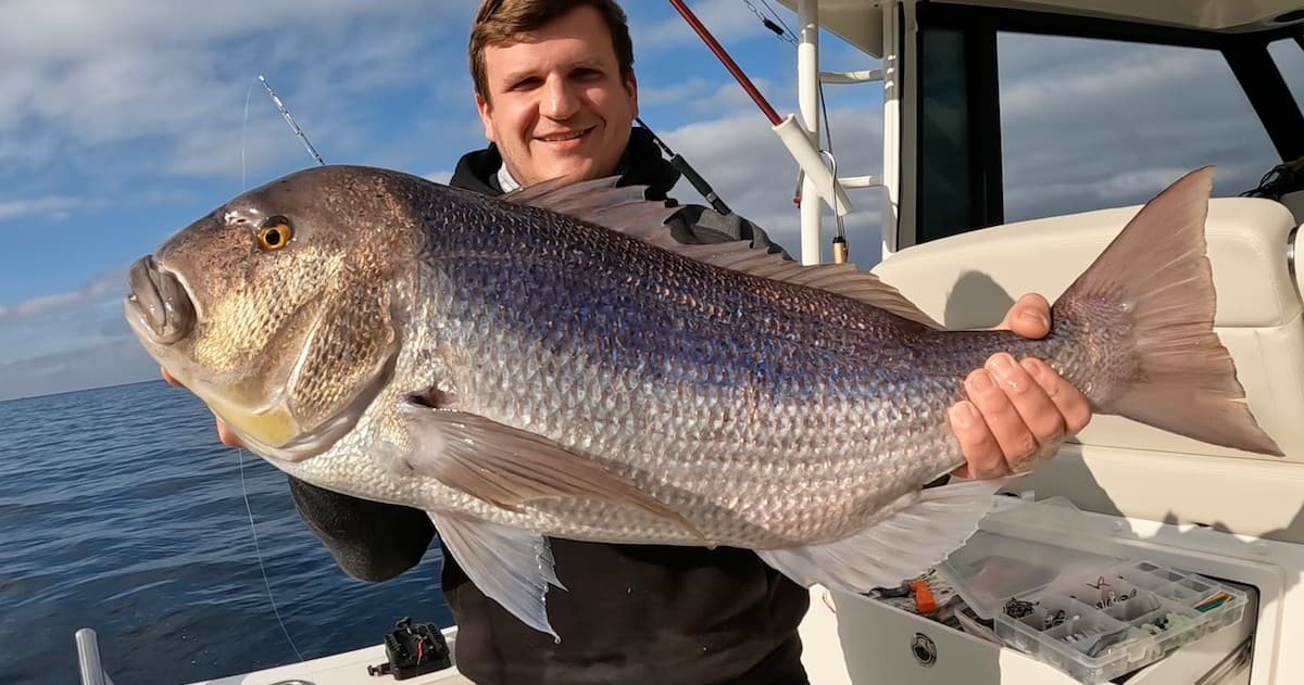 Light Trolling in Port d'Alcúdia: 4-Hour Predator Fishing off Mallorca