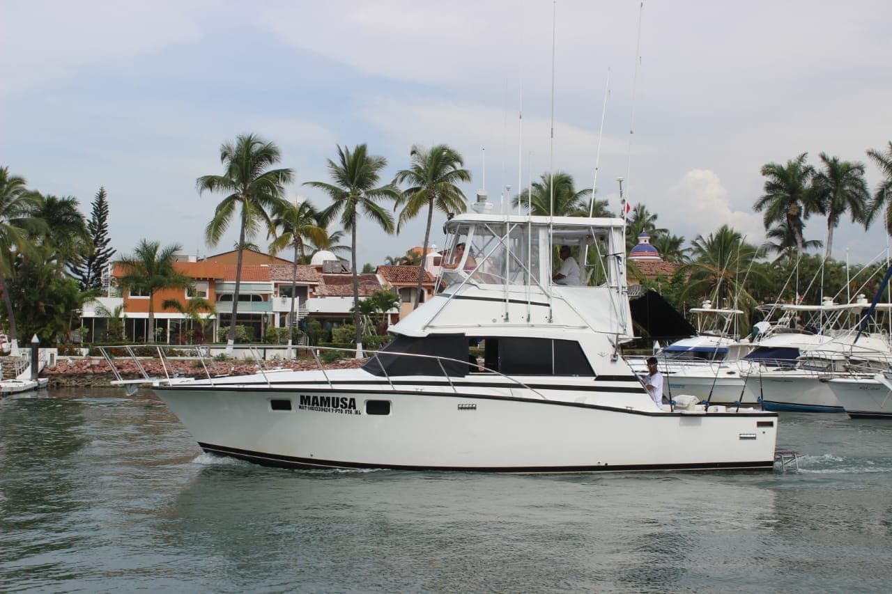 Sportfishing boat cruising near palm-lined tropical harbor