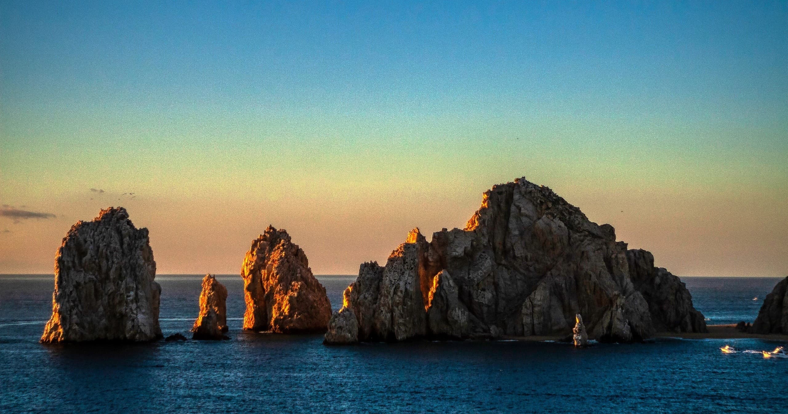 Best Cabo Sightseeing & Whale Watching Tours