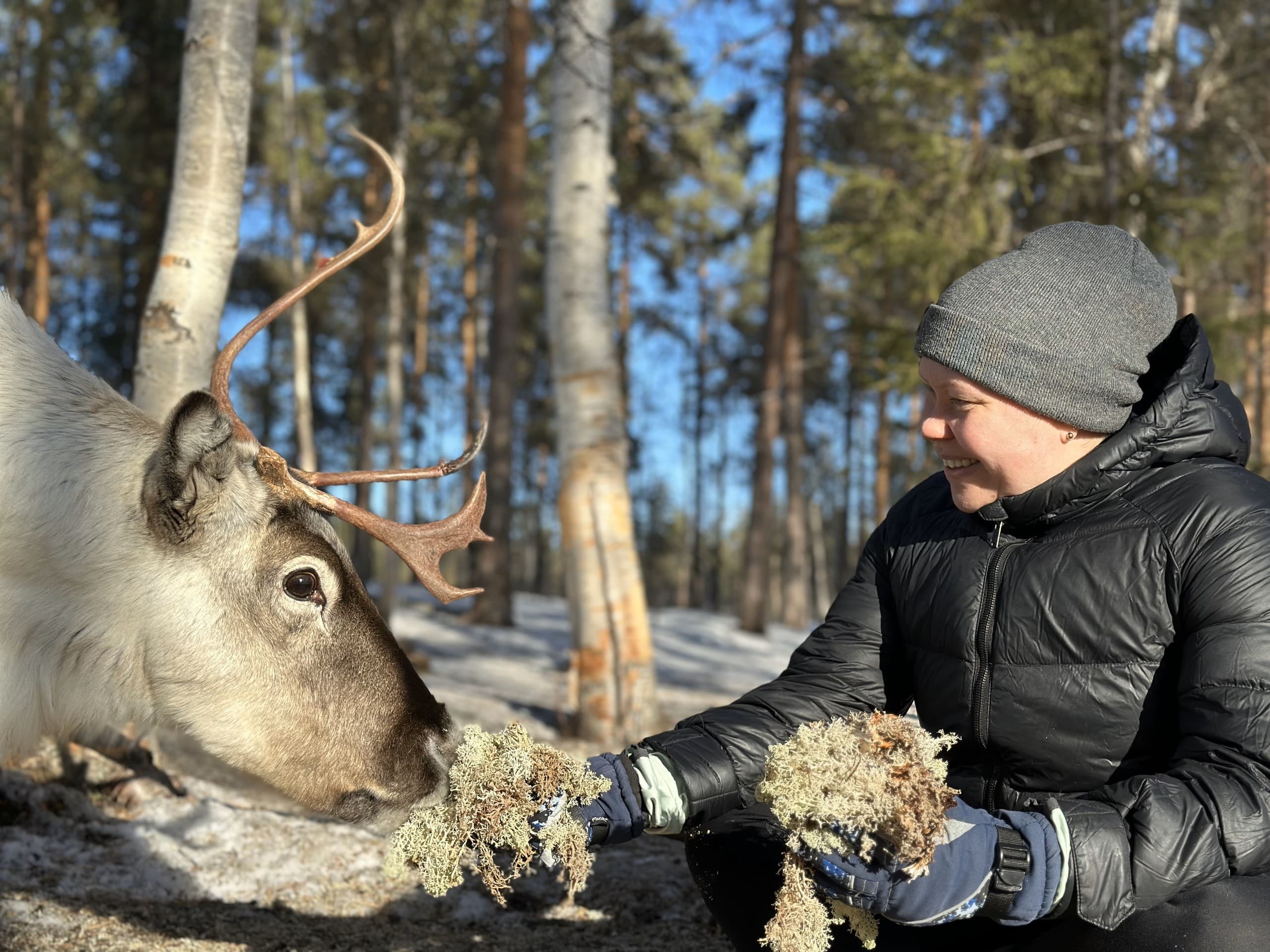 Feed Reindeer at Skabram: Sámi Culture & Arctic Forest Experience in Jokkmokk photo 4