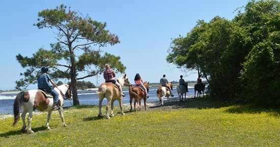 Inlet Point Plantation fleet