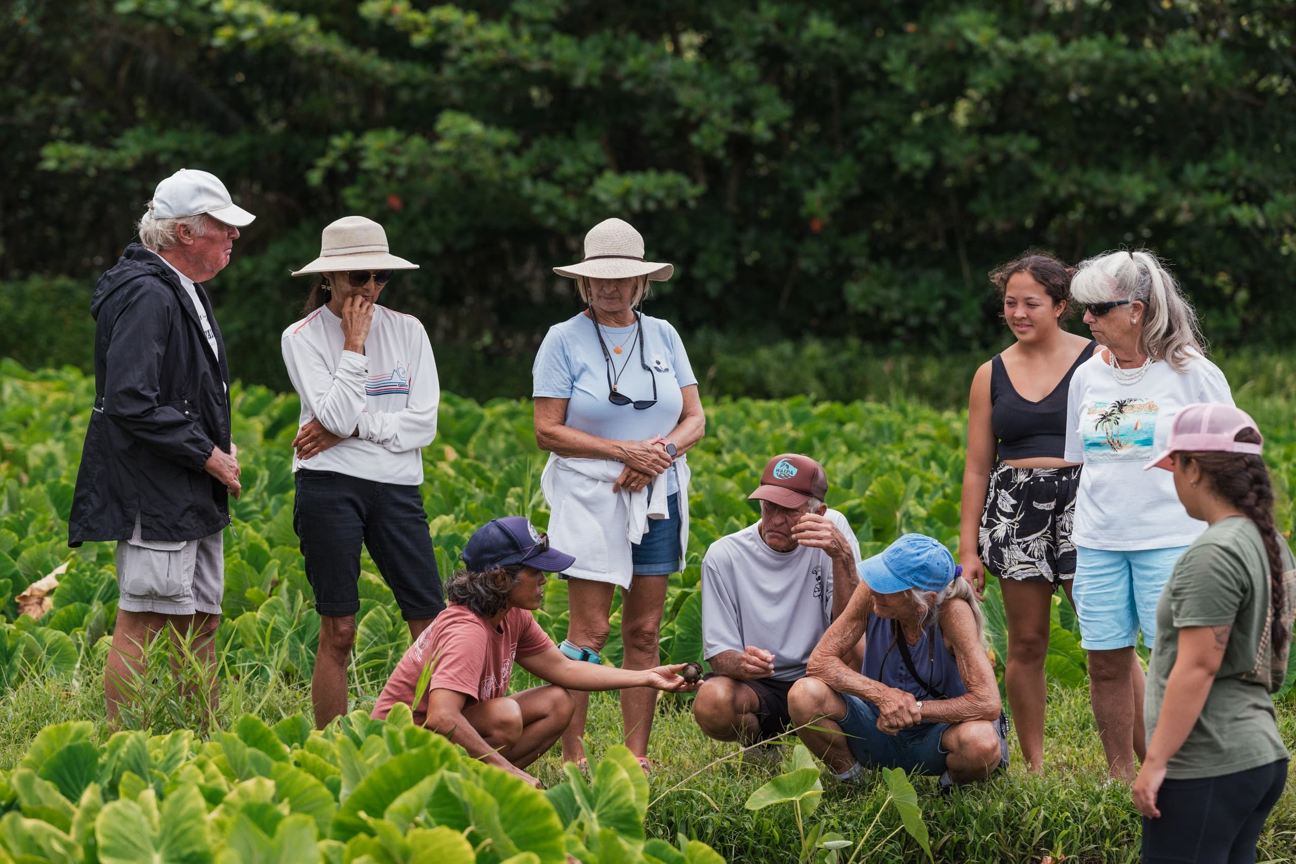 Land Adventures at Waipa Foundation: Discover Hawaiian Ecosystems