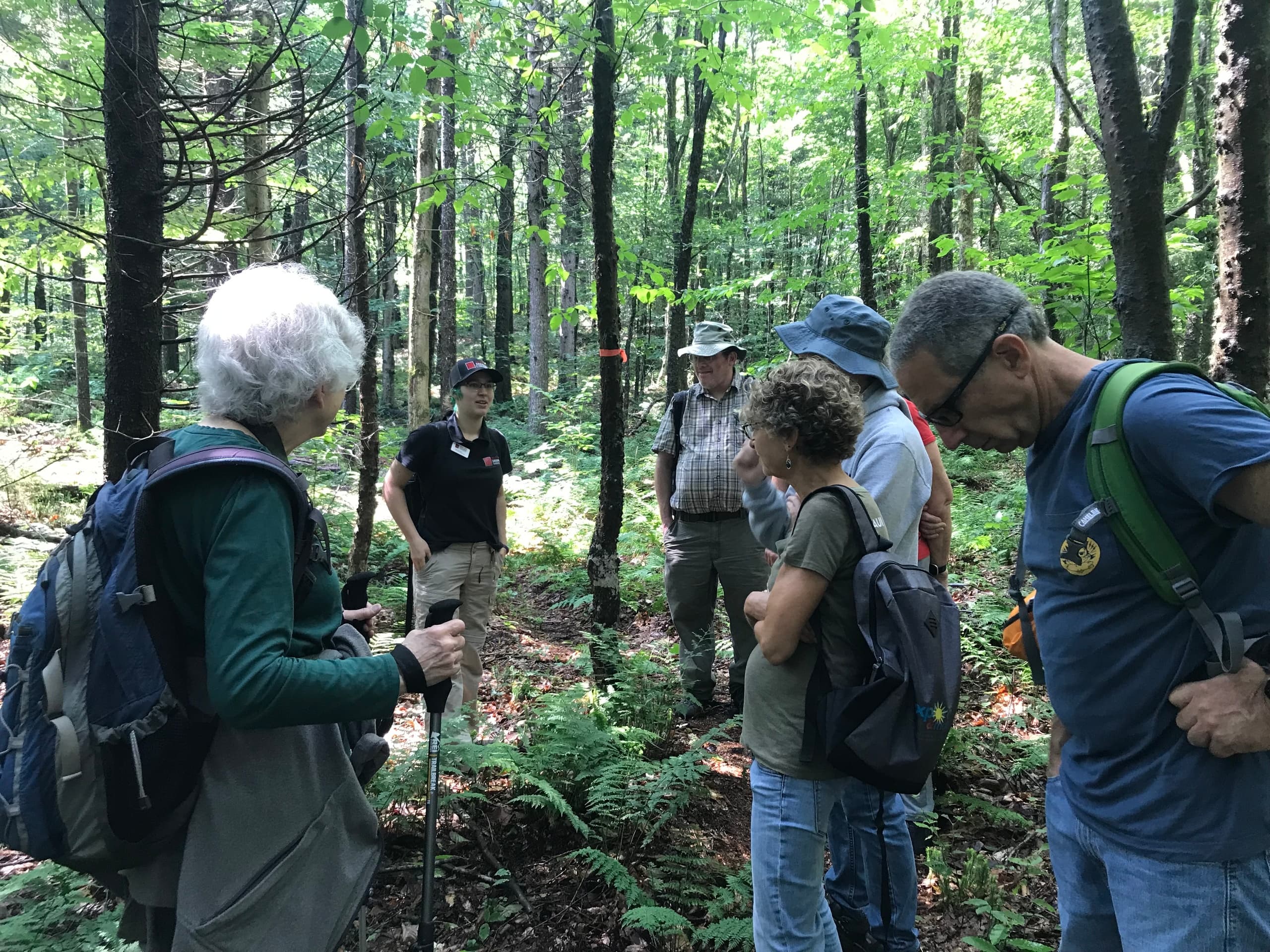 History Hike at Great Camp Sagamore in New York
